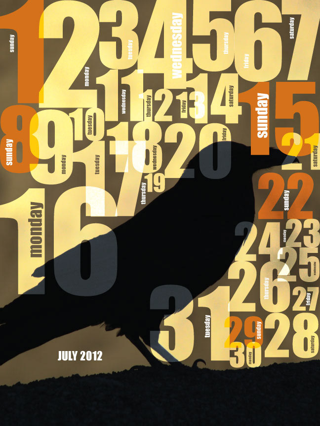 typo sudhir kuduchkar sudhir kuduchkar ahmedabad India design  calendar  calendar design Calendar 2012 crow crow 2012
