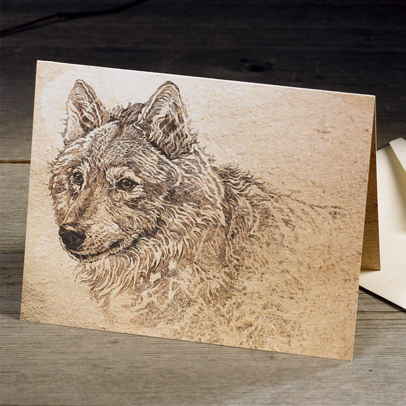 Grizzly Bear Wildlife Illustration Pen & Ink elk barn owl gray wolf