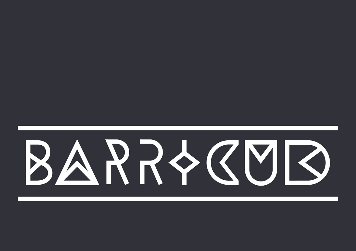 typography   brand type identity branding  BARRICUD TYPE barricud