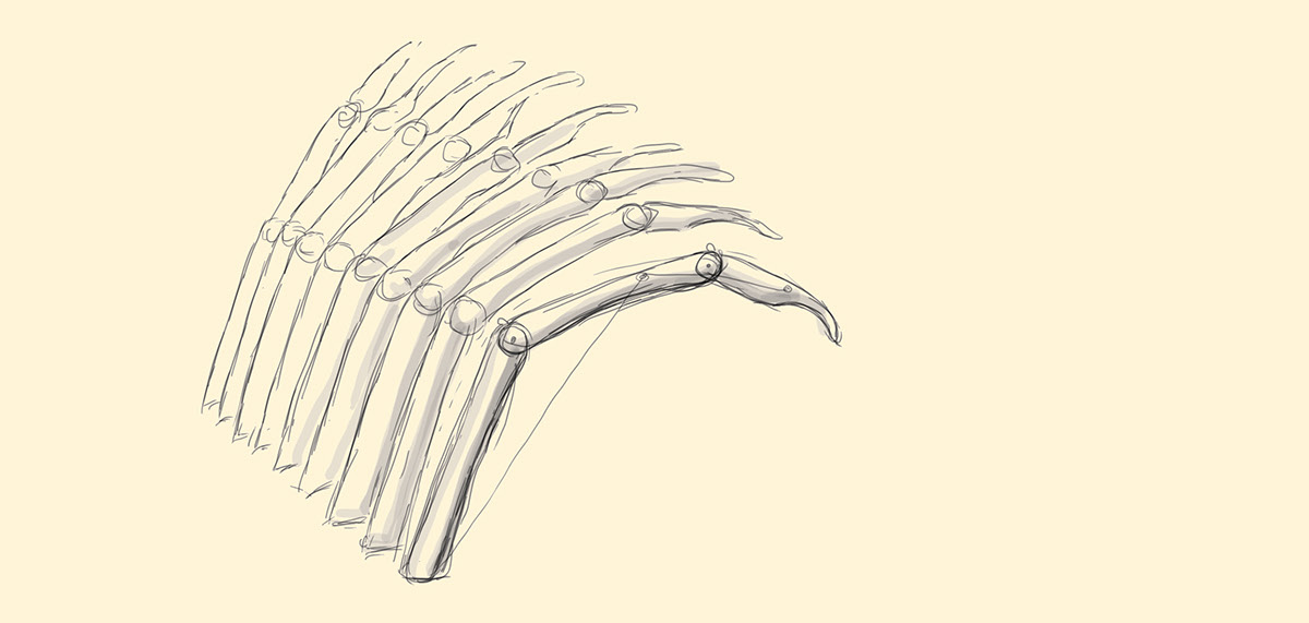 object grabber  anatomy interactive hand