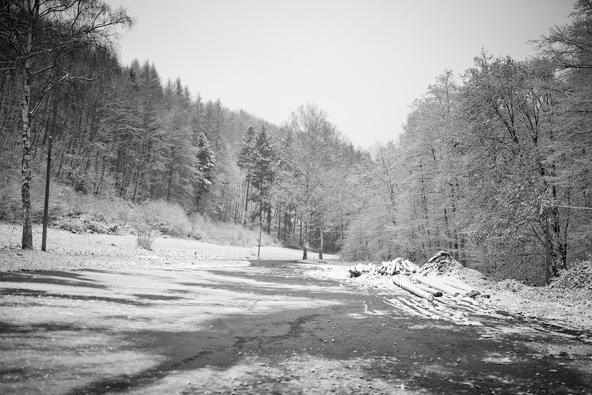 winter is coming germany Castle Burg pfalz lake snow frozen black White