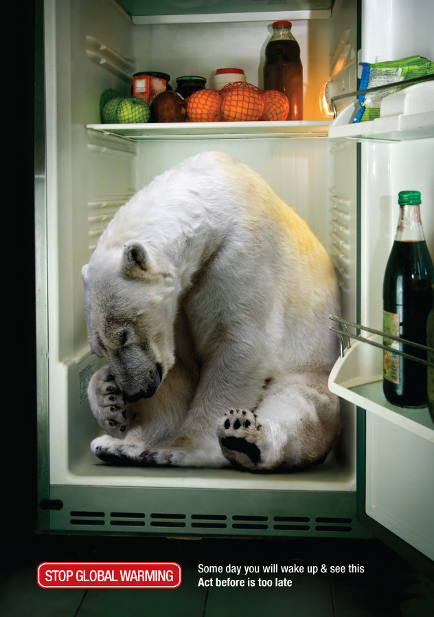 global warming bear