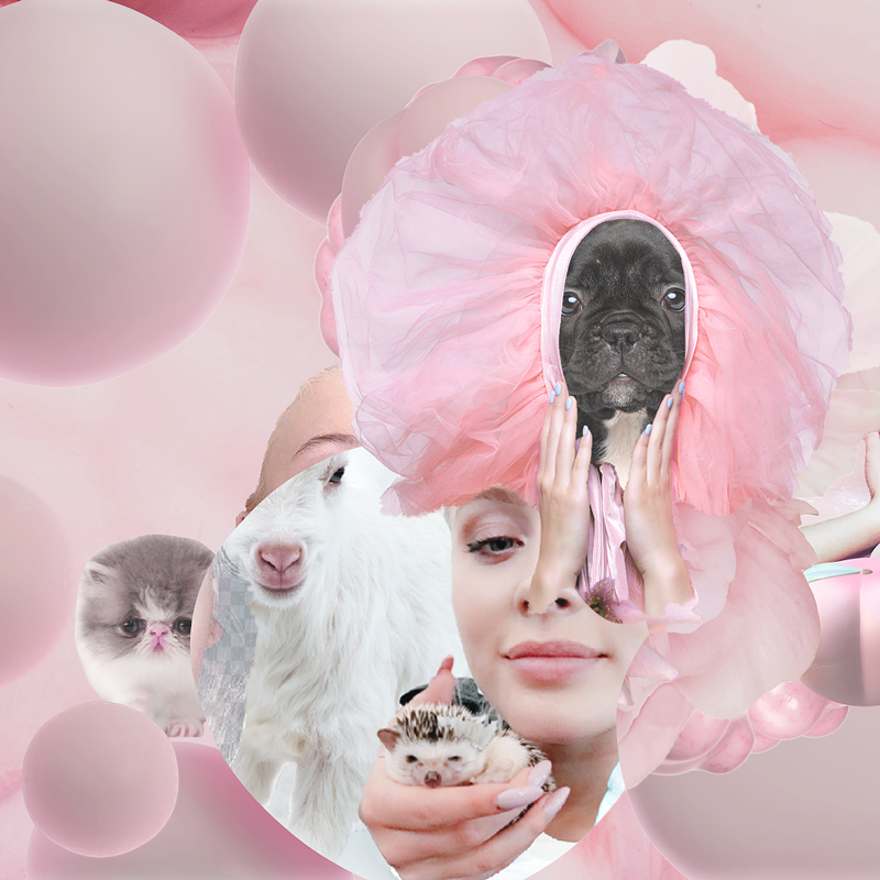 H&M Zara Larsson pop collage pink trash Lo-fi digital social network