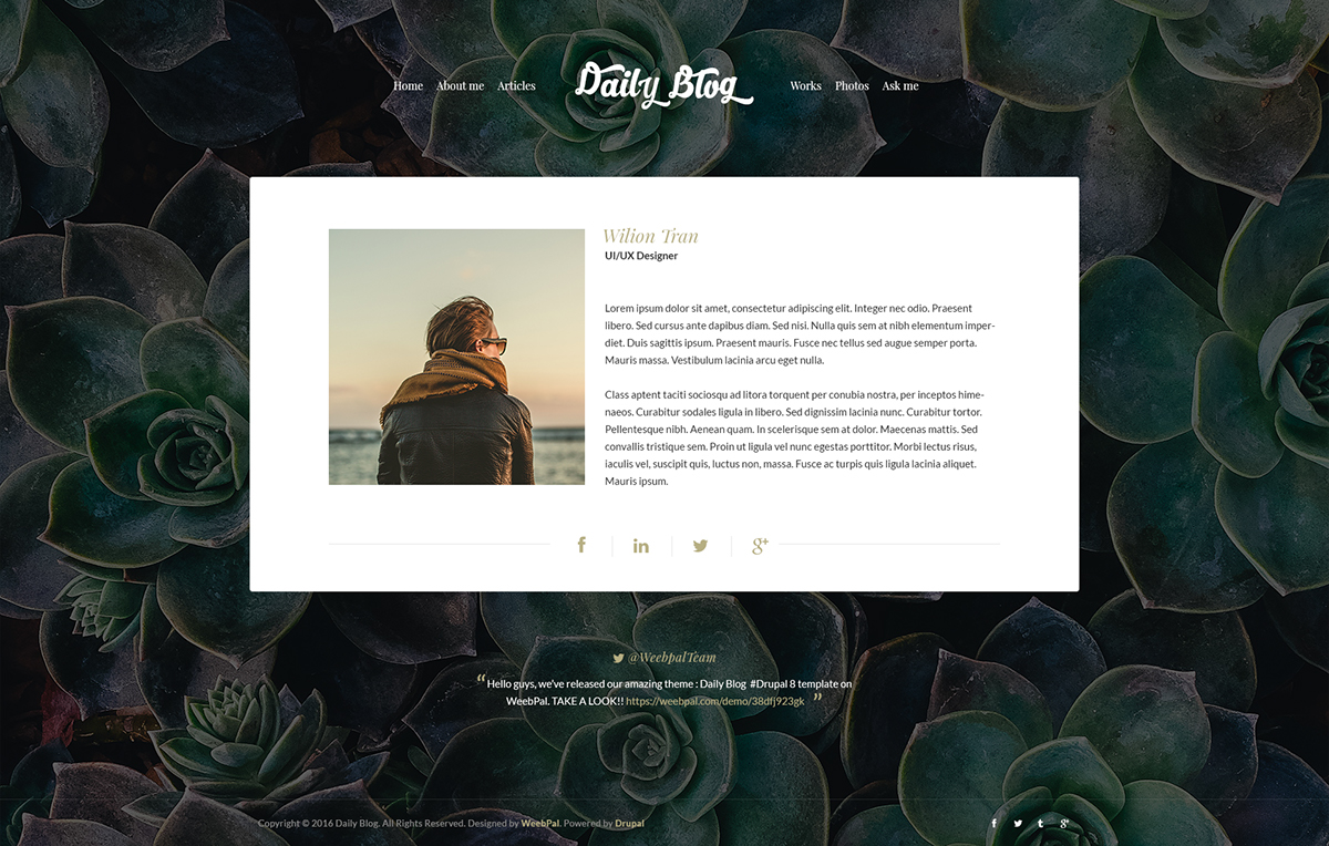 UI/UX Design Blog layout web layout drupal theme