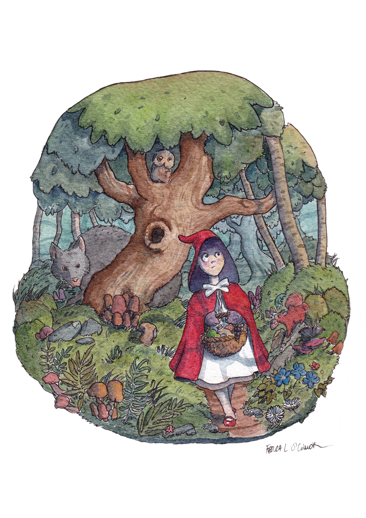 fairytale Watercolours story cover red little woods trees Magical wolf