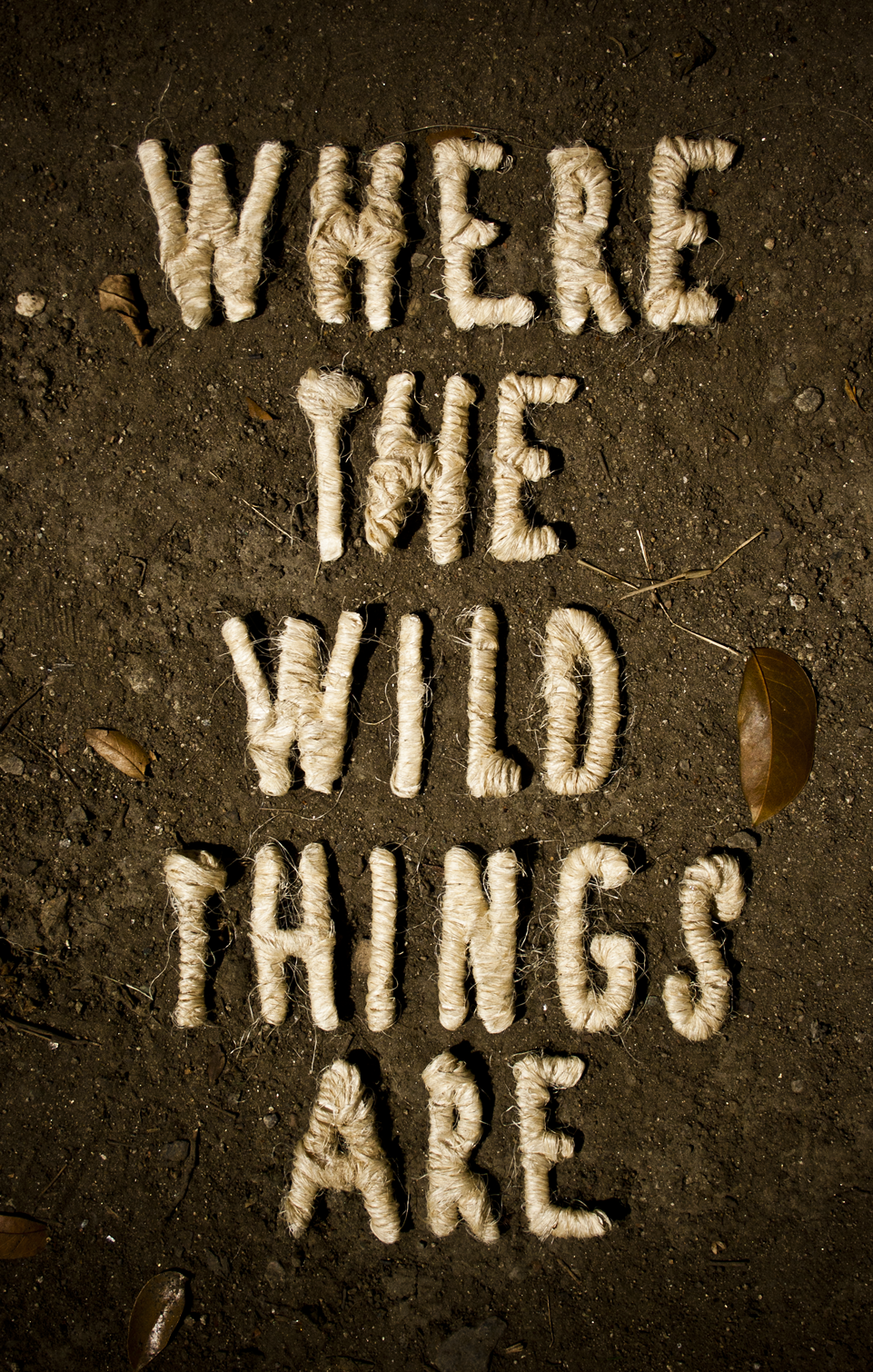 Where the wild things are poster paola siegert