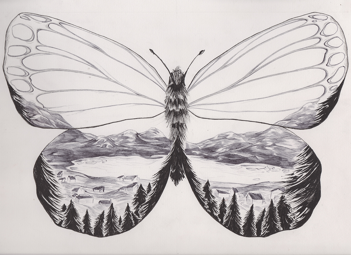 SCAD derik hobbs Savannah smithsonian scientific illustration ballpoint comic butterfly editorial publication student pen and ink Cintiq wacom made with wacom