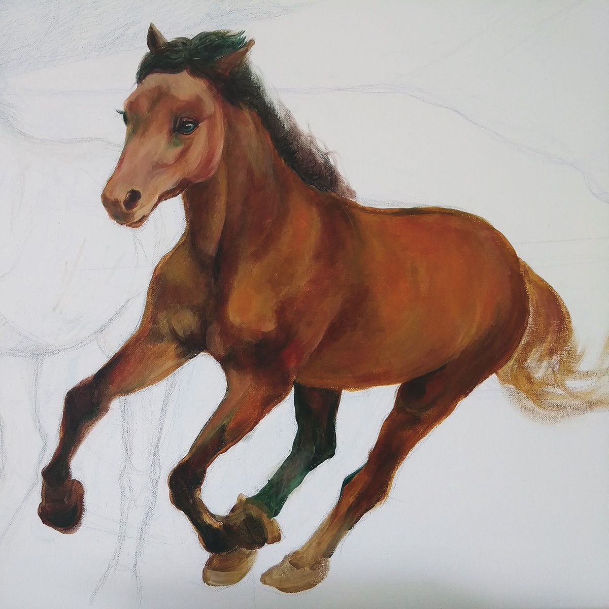 horses horse painting brown horses horse drawings akanit dachani