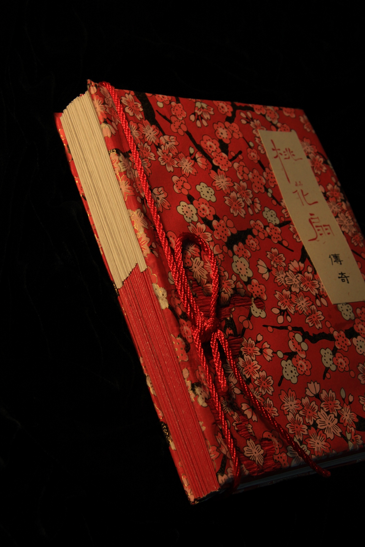 chinese book