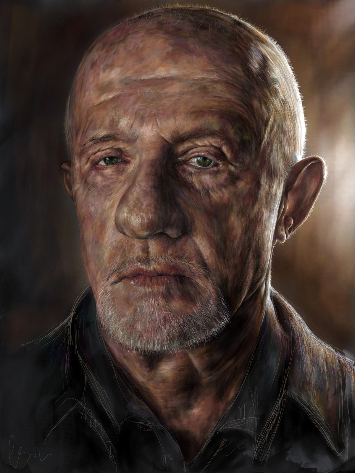 personal  cvws breaking bad Mike Ehrmantraut  jonathan banks