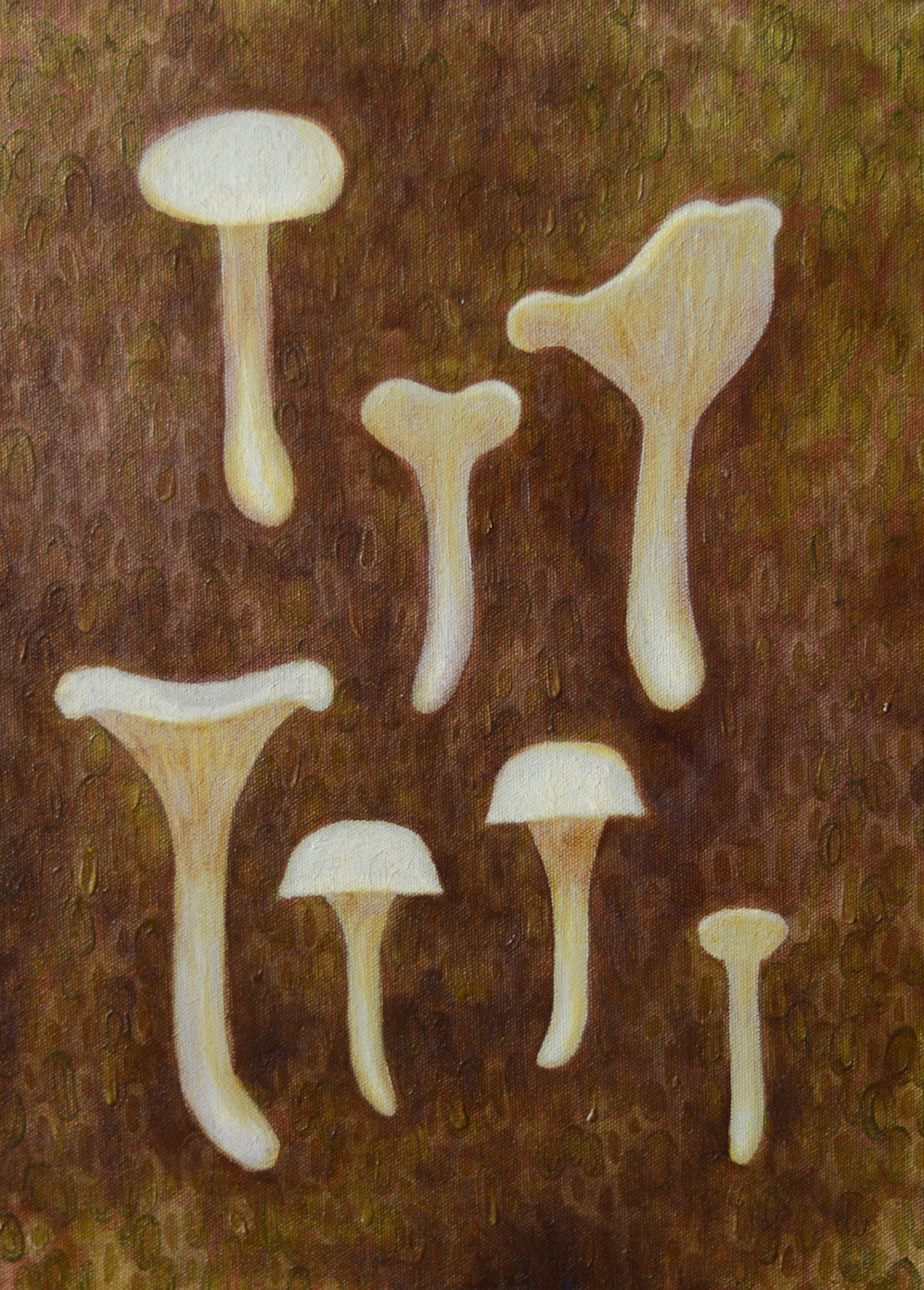 Image may contain: mushroom