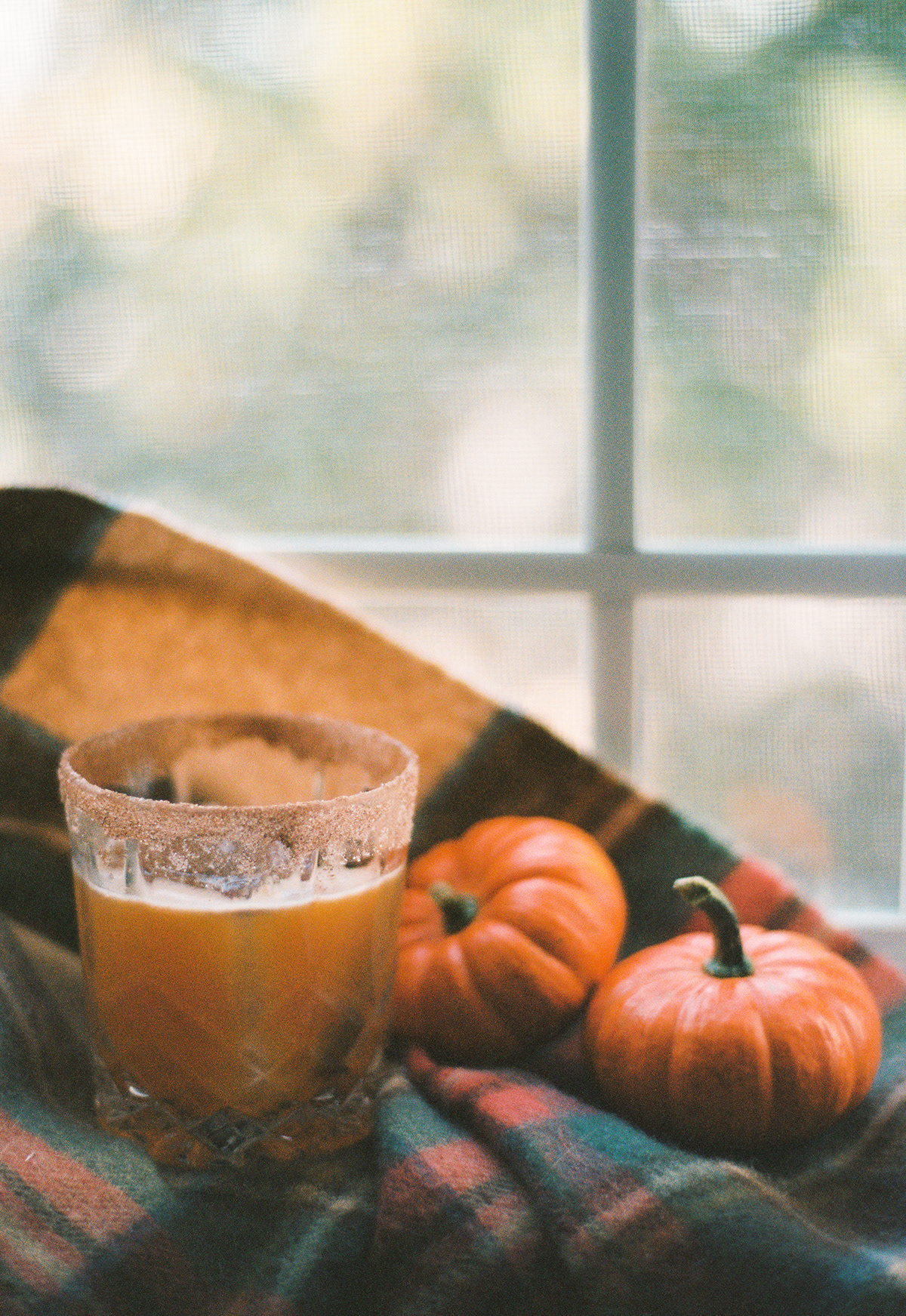 film photography 35mm Film   Photography  35mm film autumn Fall october pumpkin Halloween