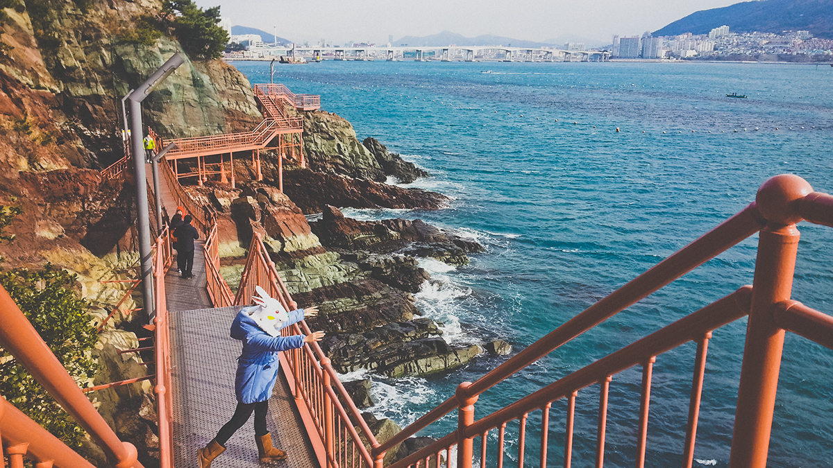 Adobe Portfolio Korea seoul Busan bunny ranaway KELSEYZ TROUBLEXY Travel tour art life