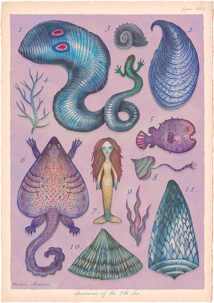 fairy tale sea creatures mermaids narwhal cryptozoology sea animals mermaid art sea life mermay mermay2020