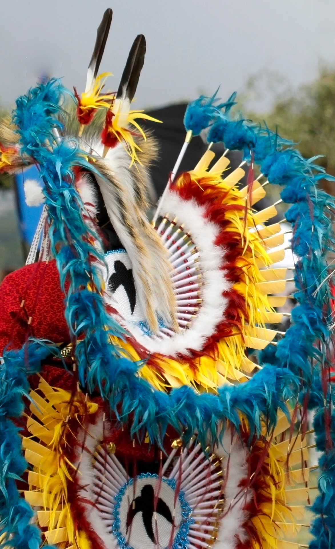 history america southwest native american tradition vintage archeology culture humanity wild west ruins pow wow ceremony pueblo indian