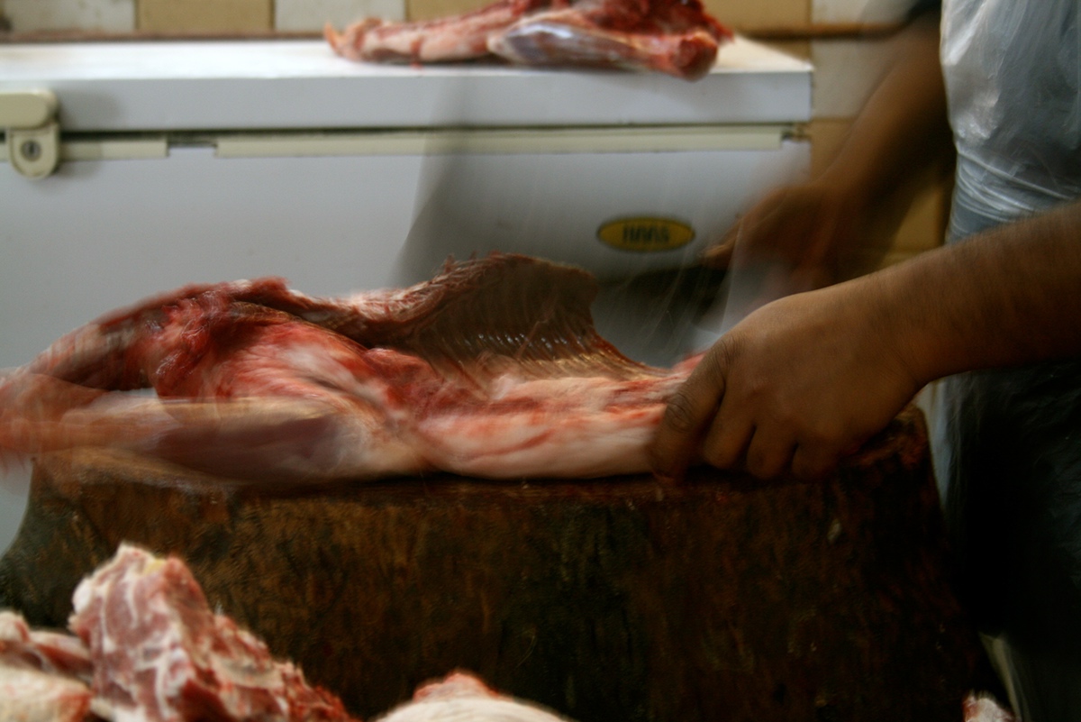 animal slaughter slaughter meat lamb Bahrain Meat Market a level growth evolution red dead animal animals blood bones