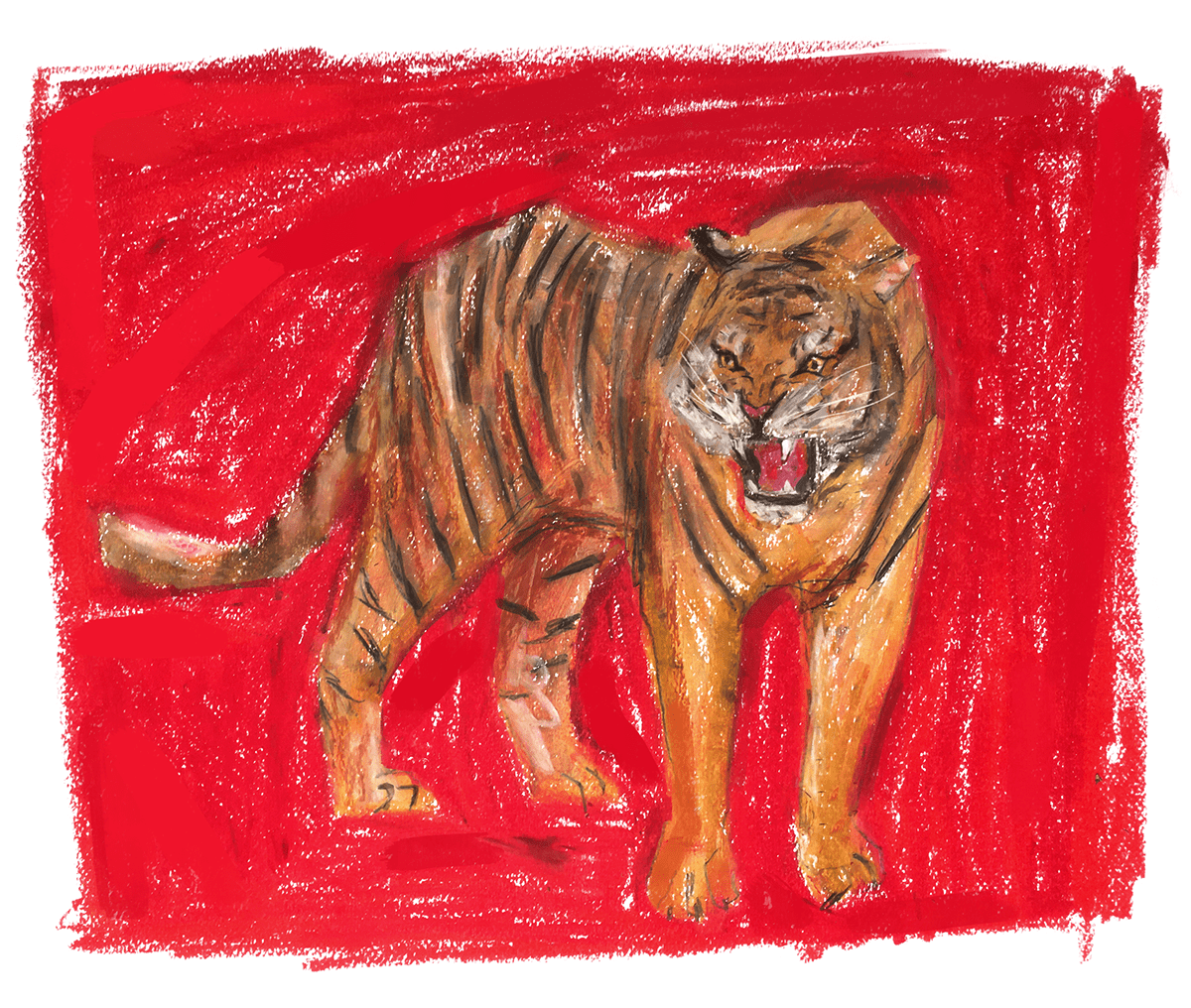 Illustration of a tiger.