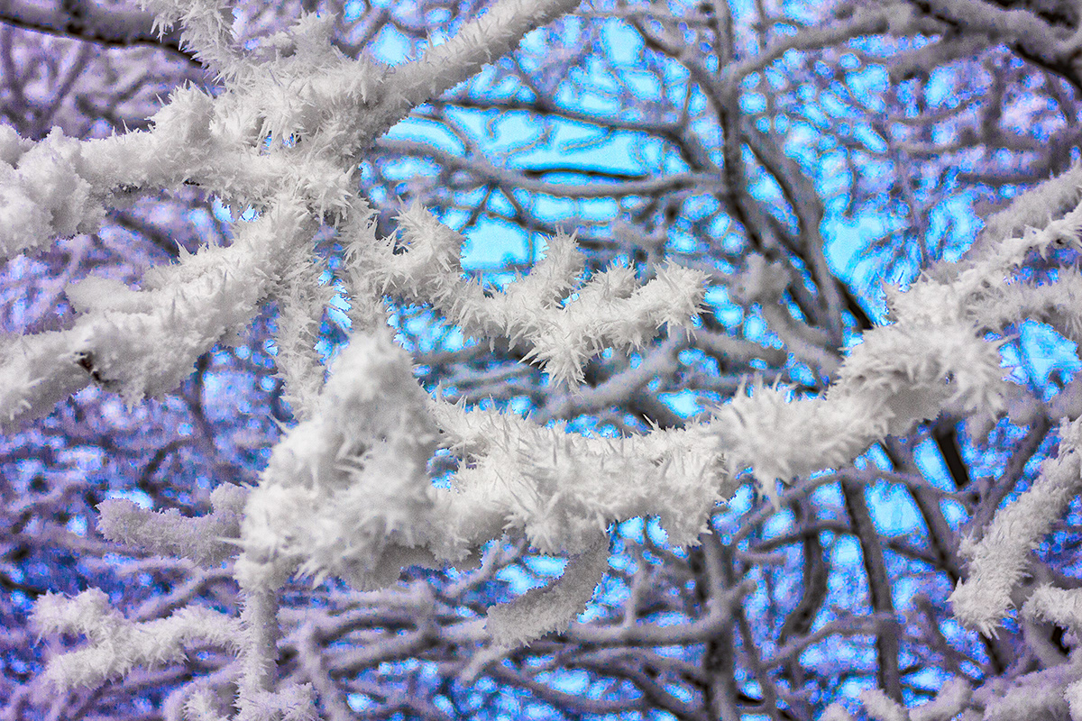winter Poetry  Photography  Digital Art  snow poem season beauty Nature creation