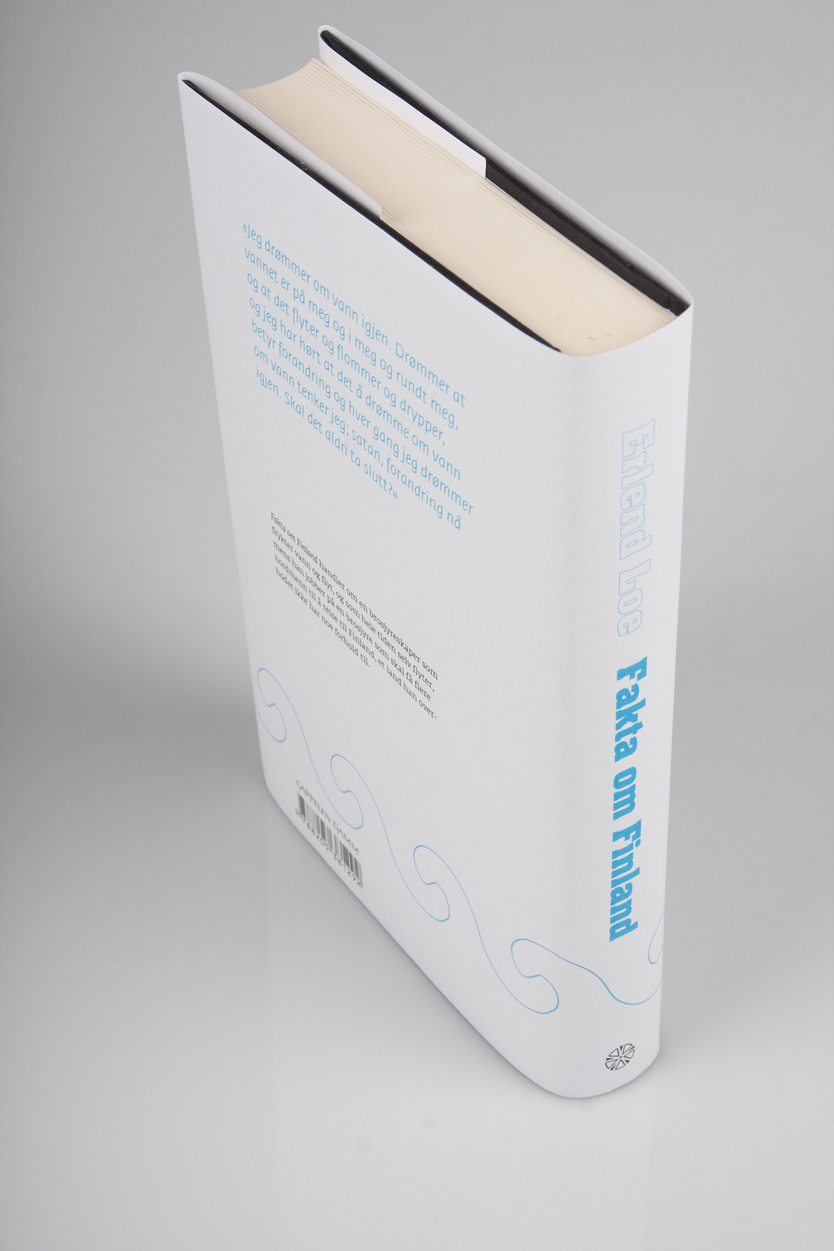 simplistic naivistic bookcover bookjacket erlend loe faktaomfinland minimalist blue finland 2-color water isotype Drowning