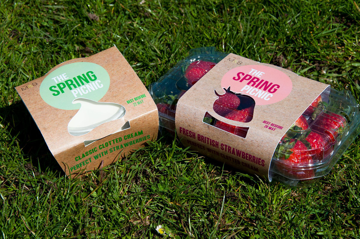 Adobe Portfolio picnic Food  design spring