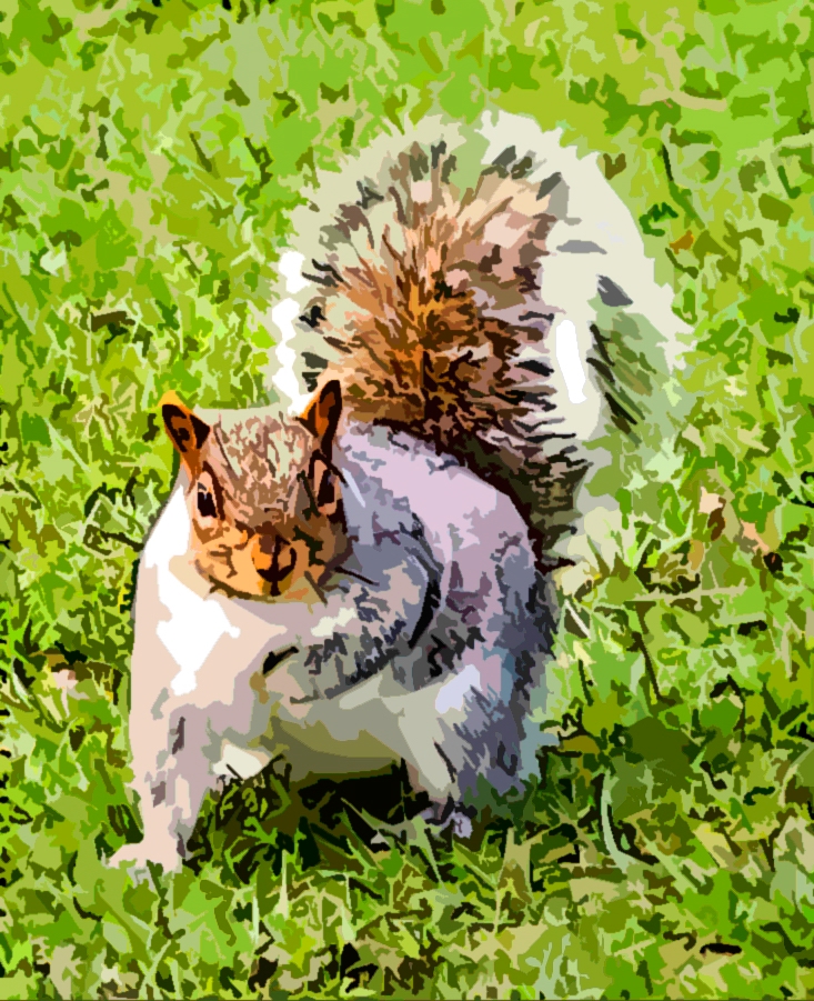 UK Tonbridge kent Nature wildlife squirrel cartoon photo photoshop Behance