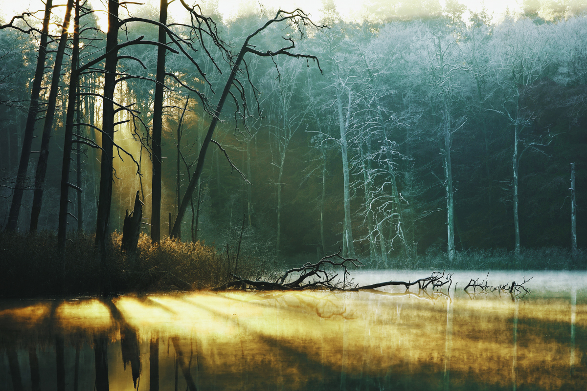 Digital Photography: Autumn At The Lake Series