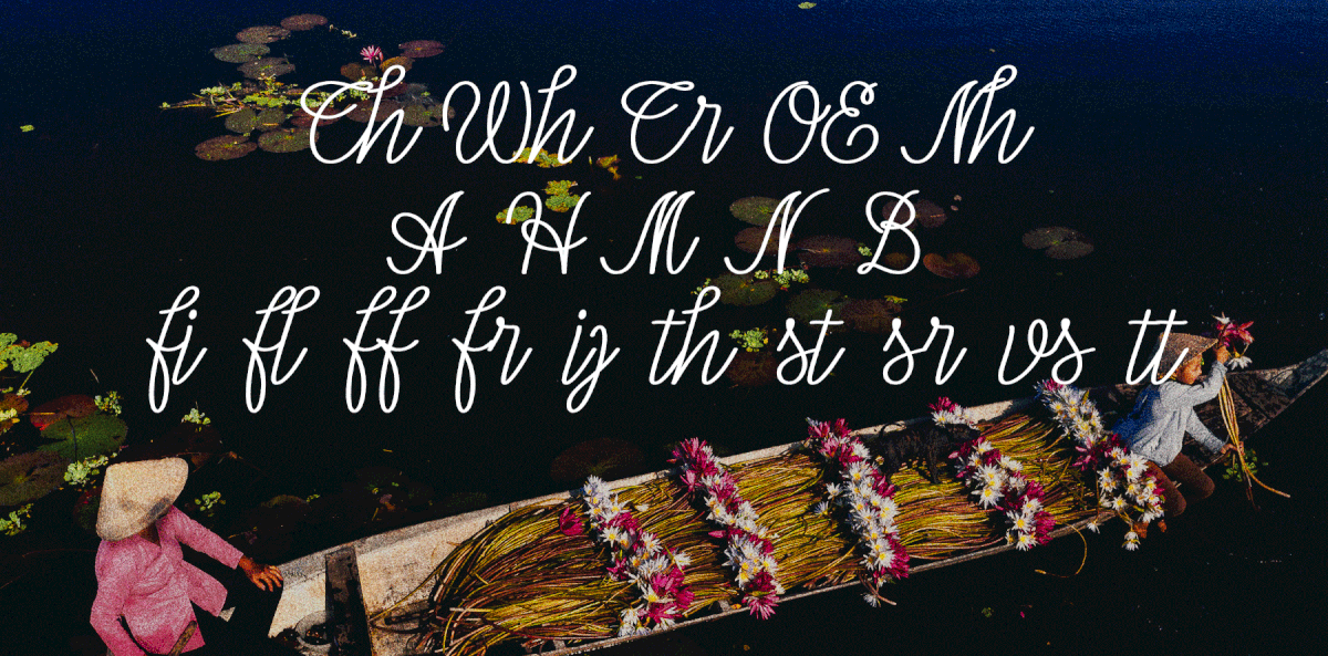 elegant font hanoi LaSoie saigon Script Typeface typography   vietnam vietnamese
