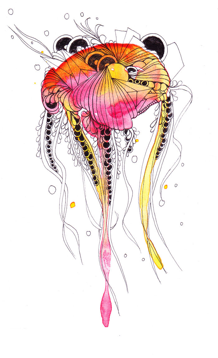 drawings  ink watercolour jelly fish