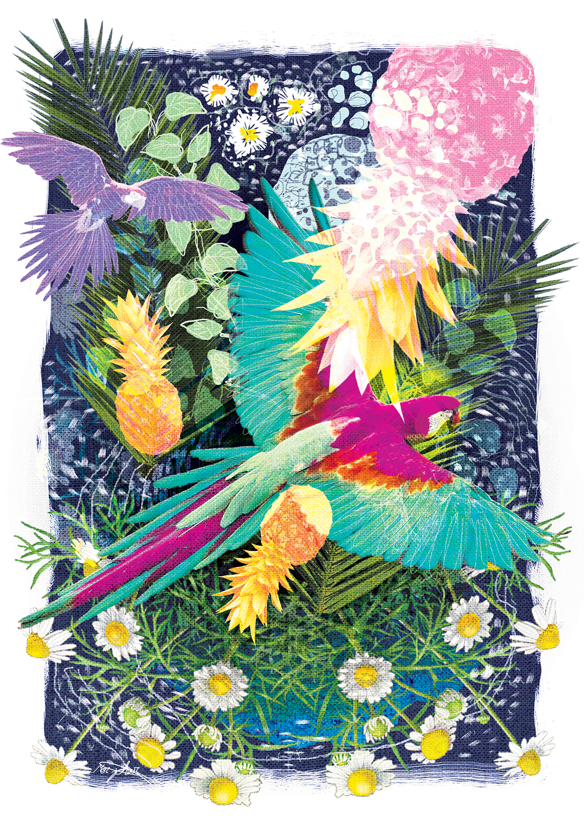 jungle parrot Pineapple tropic poster