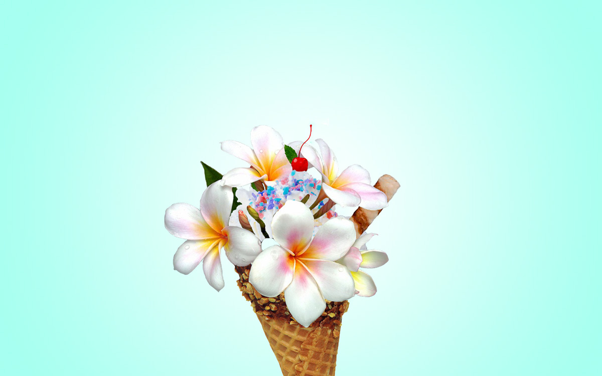 graphic design  Photo Manipulation  ice cream flower photoshop Digital Art  HAWAII