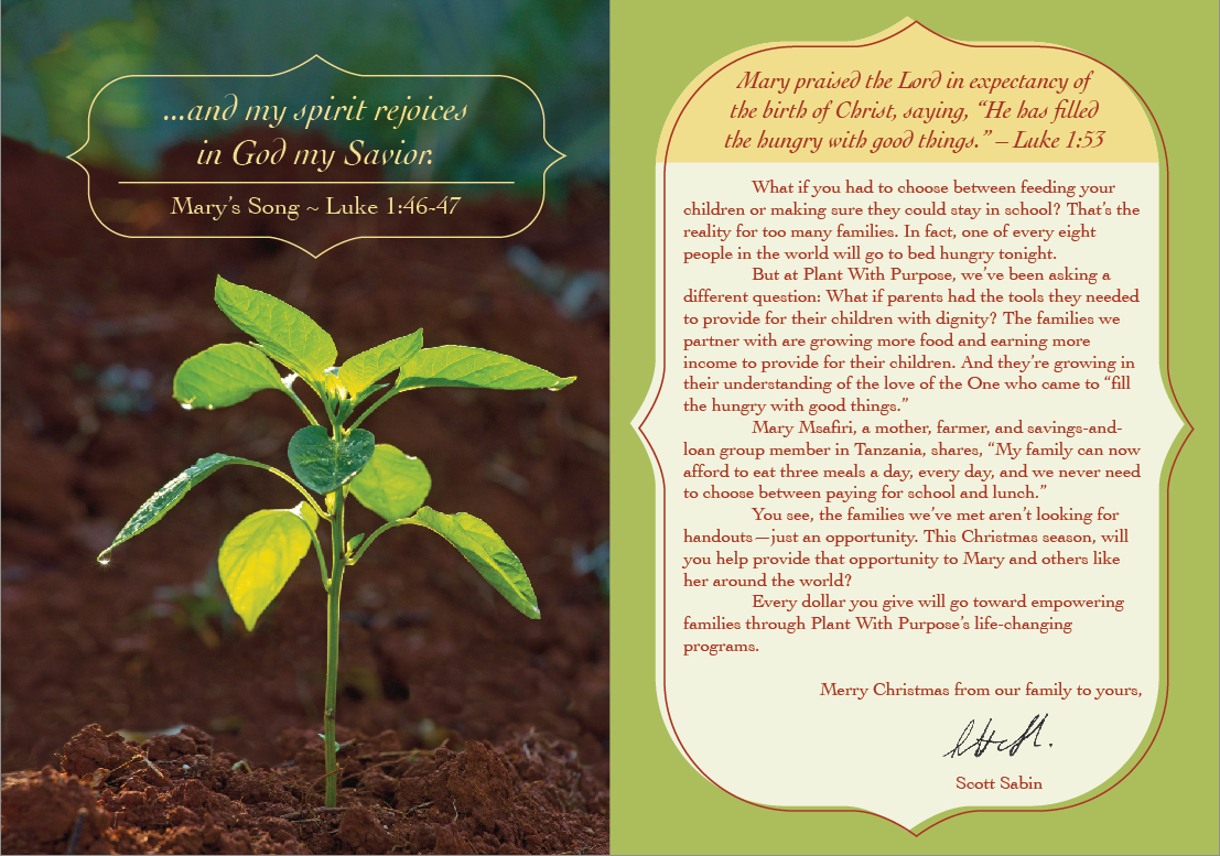 plant with purpose Christmas Christian non-profit nonprofit trees Sustainability ecological green plants garden greeting card Dominican republic soil