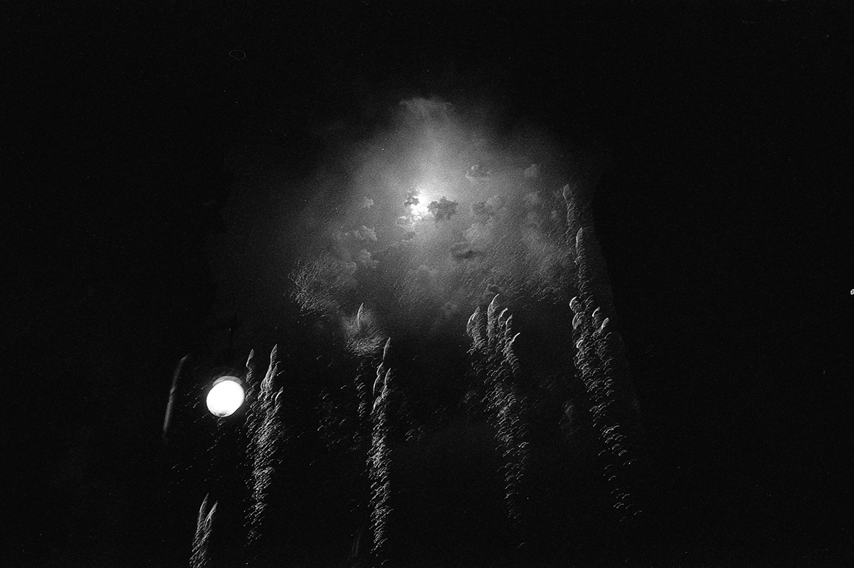 las Fallas valencia photojournalism  Documentary  black and white Leica spain festival fire
