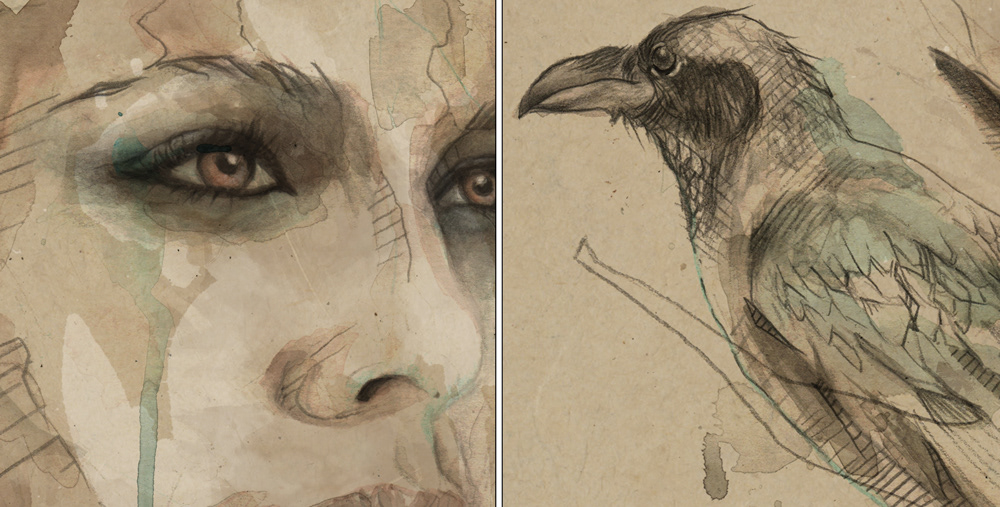 crow portrait traditional watercolor