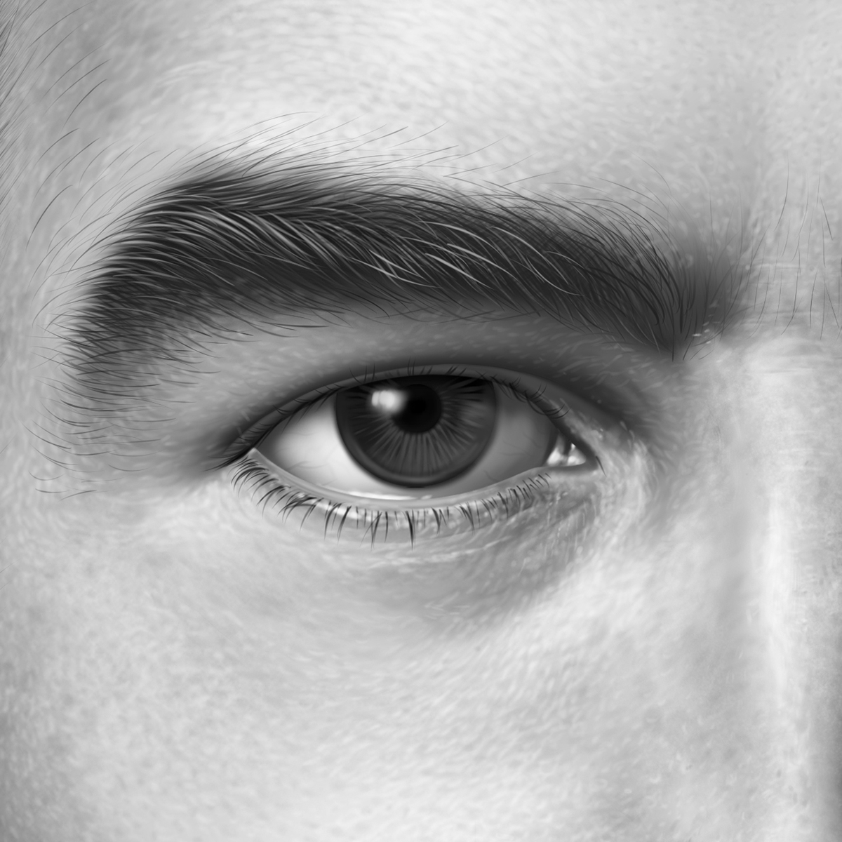 portrait Realism digital painting Character black & white Paintool SAI photoshop wacom detail painting   cardinal face complexion alive printing ad