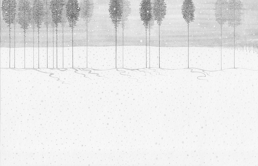 Blizzard winter snow trees Landscape