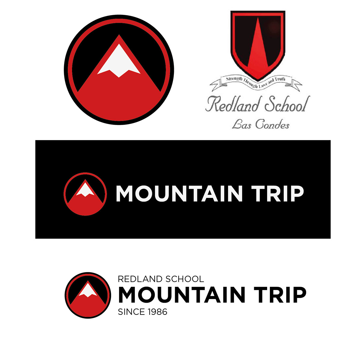 mountain logo trip