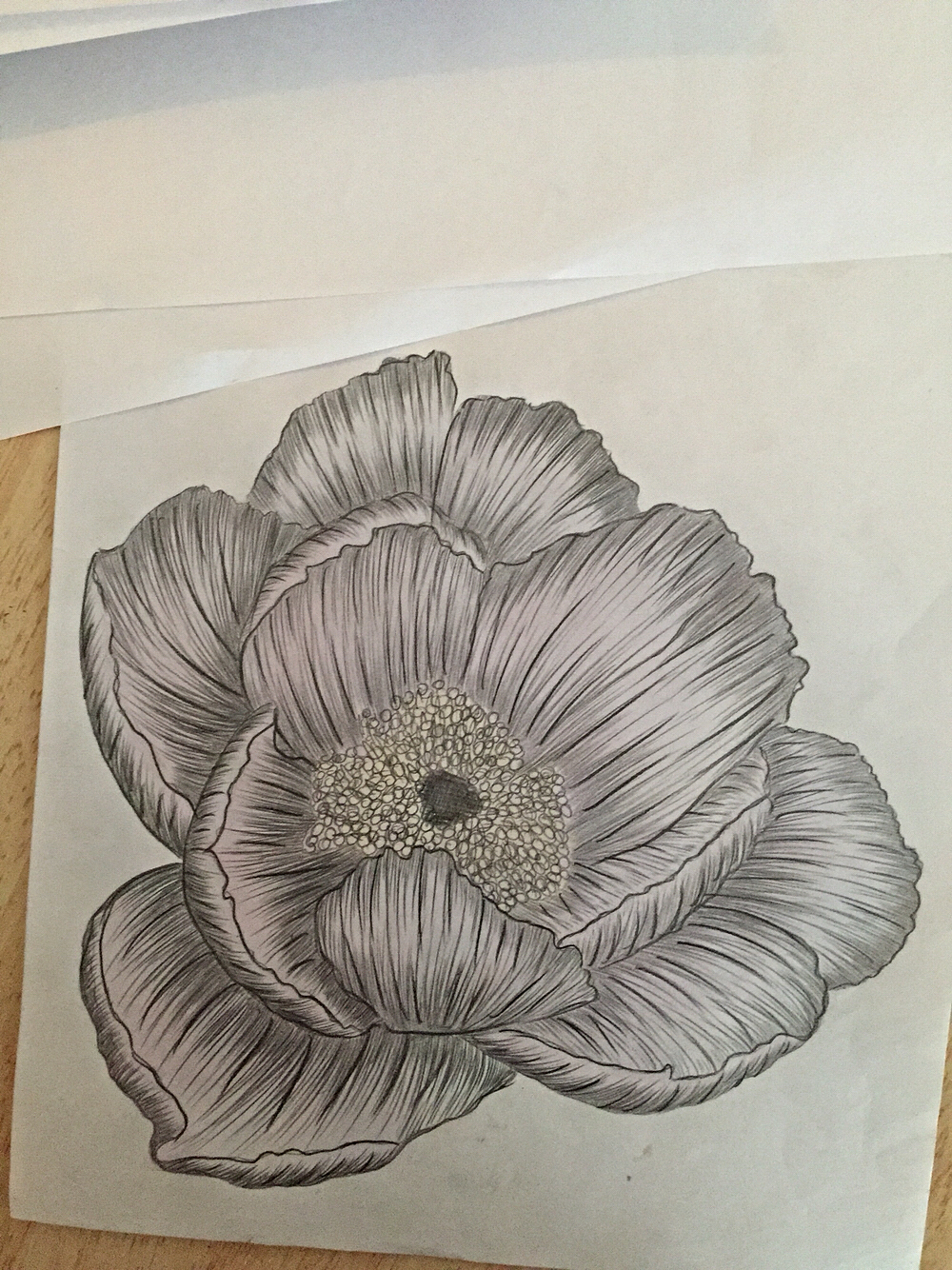 flower sketch pencil