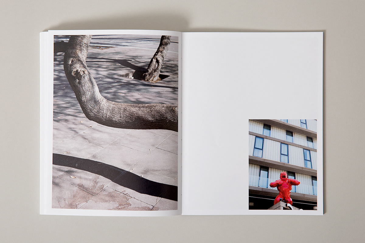 design editorial photobook typography   consequences displacement gentrification Urban Photography 