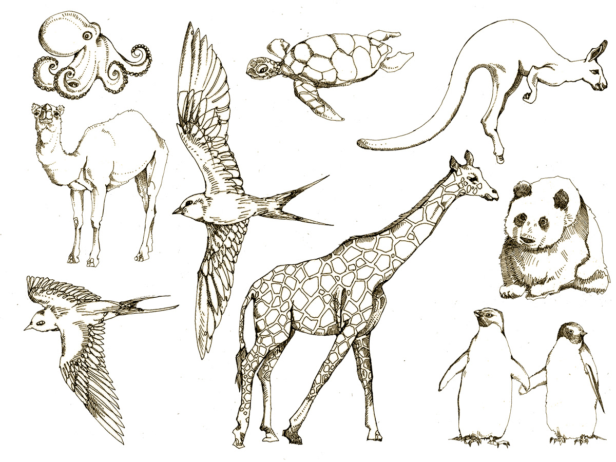 50+ Easy Animal Sketches Drawing Ideas - HARUNMUDAK