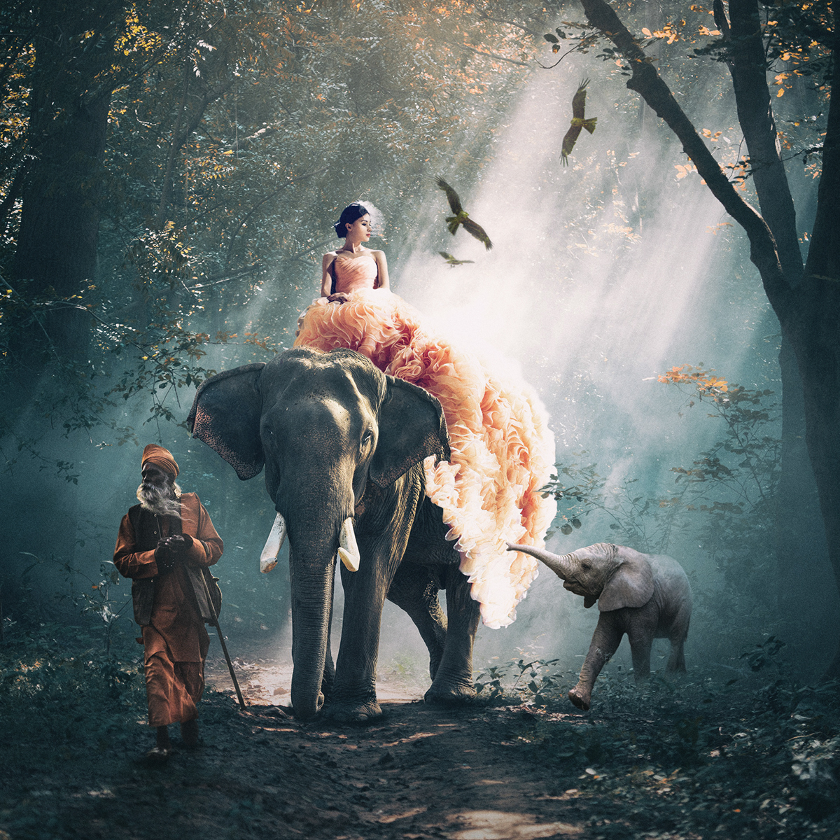 elephant indian bride fantasy art concept art Digital Art  retouching  Composite 2S design
