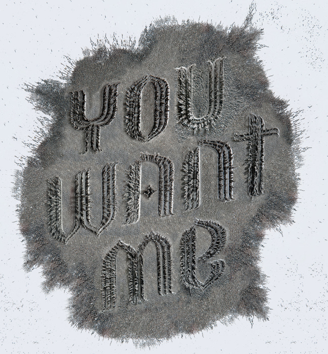 magnetic type typography   handmade plexiglass magnets Iron filings Experimental Typography you want me want me type magnetic typography promotional poster Crescendo type photo illustration 