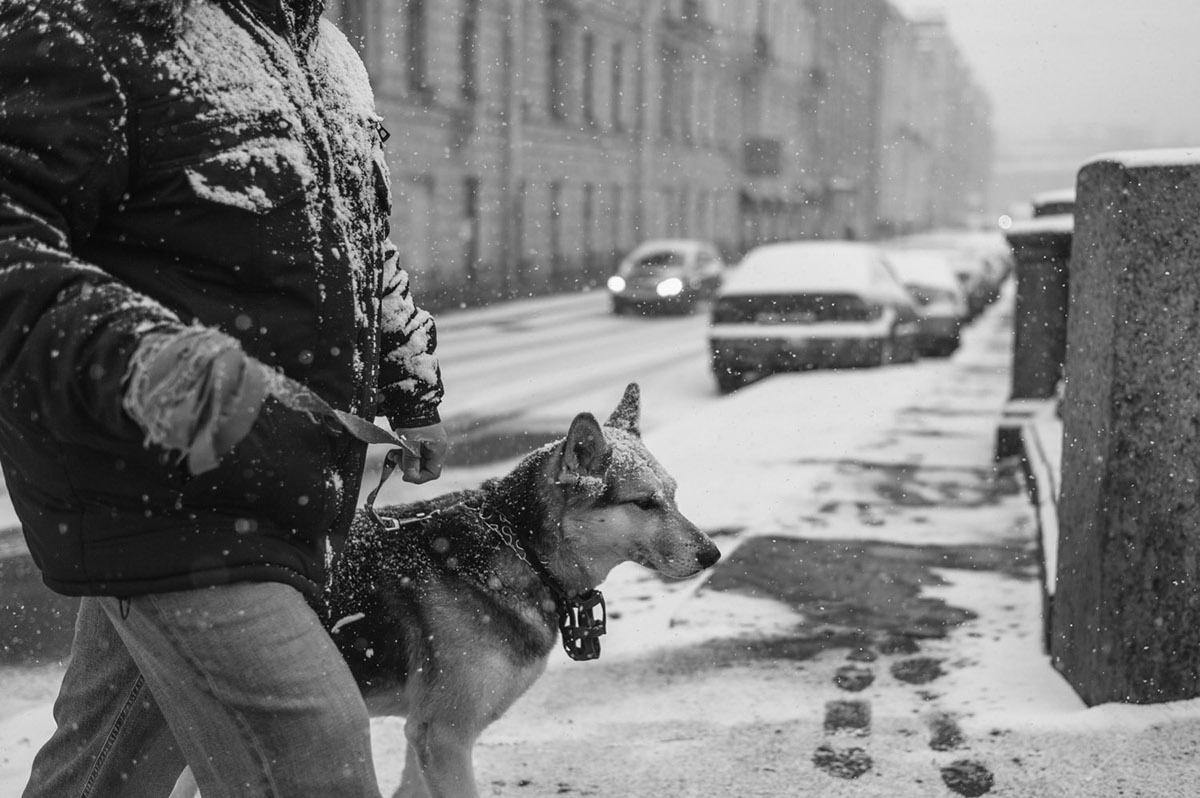 black and white Leica St. Petersburg winter snow