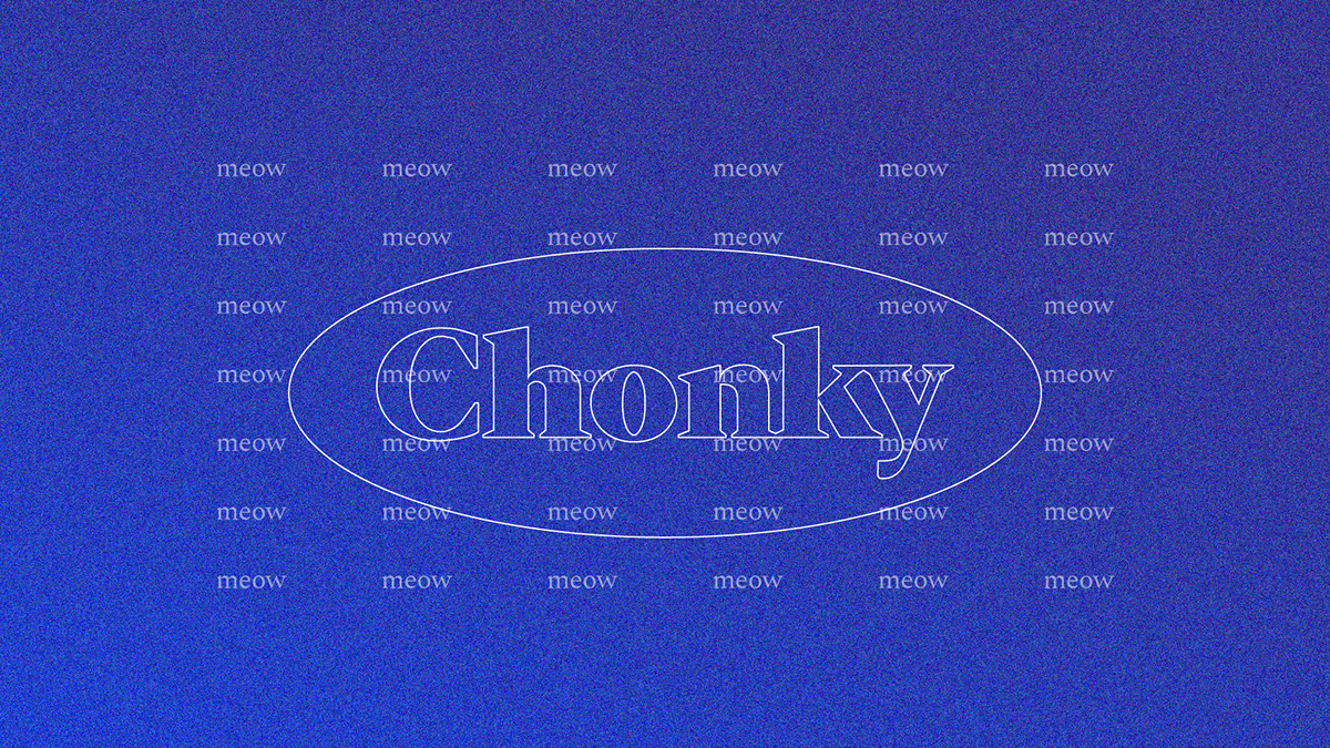 animation  chonky design Display font font design graphic design  type typography   typography design