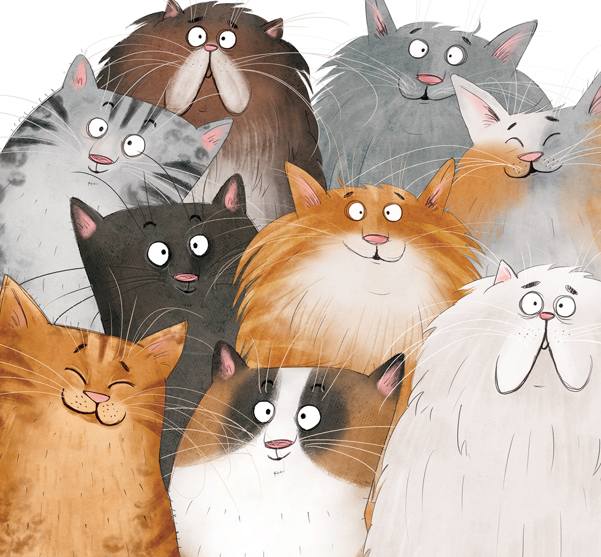 Cat children's book funny cats kidlit children illustration cats personalized comic humorous cat breeds