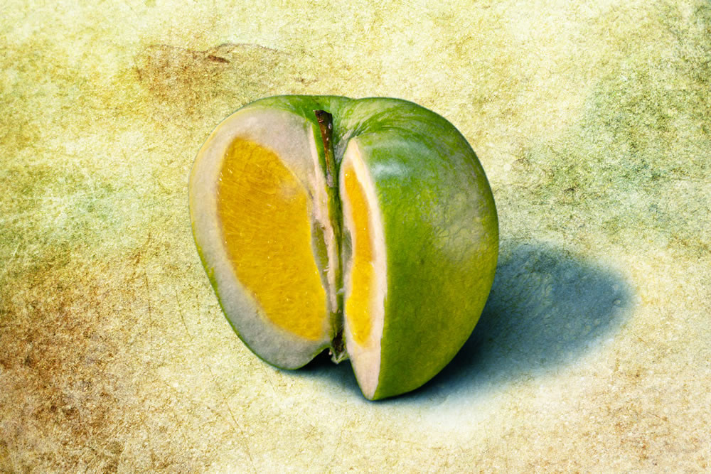 transgenics transgenic transgenico transgenicos orange naranja melon watermelon Sandia kiwi pumpkin calabaza apple manzana lemon limon Fotomontaje fotomanipulacion Canon EOS 5D Mark II 5d mark II