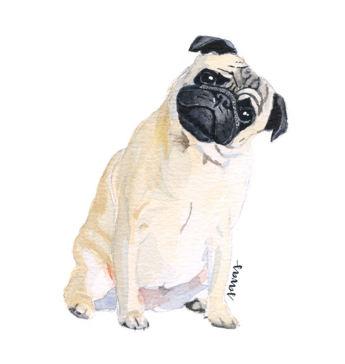 dog watercolor painting   Handlettering