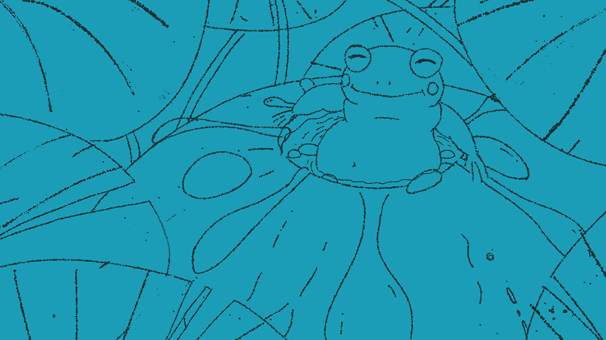 2D 2D Animation animation  frog Ghibli ILLUSTRATION  iPad Procreate tutorial Character