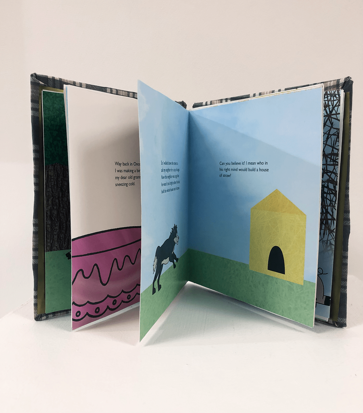 book book design childrens book kids book publication Three Little Pigs