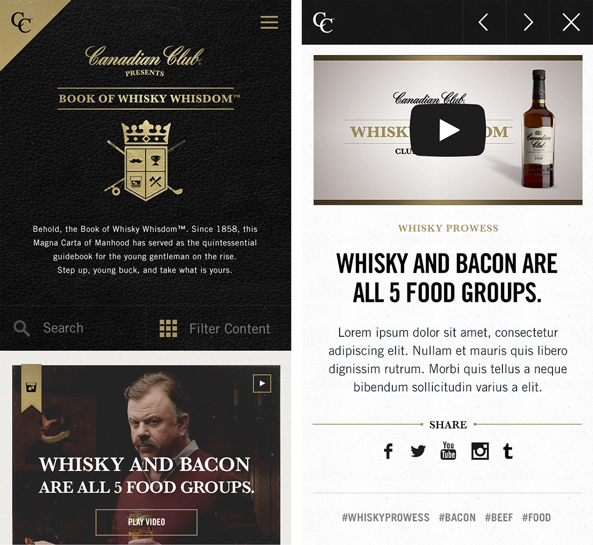 Whisky drink social feed html5 Canadian Club HYFN gold book tumblr design Website Responsive