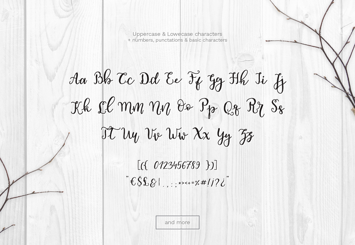 Calligraphy   font lettering fonts Handlettering wedding invitations